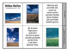 Leporello-Stilles-Reifen-Morgenstern.pdf